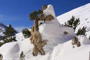 stèle Fausto Coppi et Louison Bobet sous la neige
