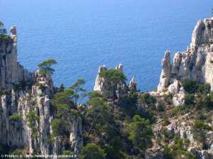 br�che de Castelvieil