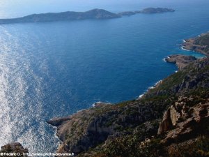 la c�te de la calanque de Podestat � Marseilleveyre