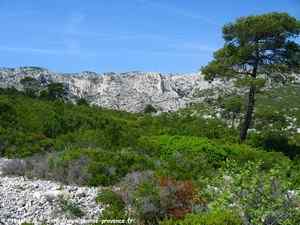 plateau d'en vau