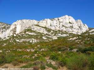 sur la route d'acc�s � la calanque de Sormiou 