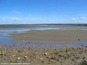 randonn�es � cheval en Camargue
