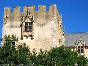 le ch�teau d'Allemagne en Provence