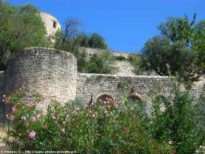 ruines du chateau de peyruis