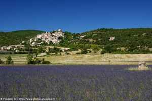 Simiane-la-Rotonde et champs de lavande