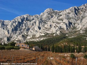 le domaine Saint-Ser