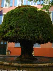 la fontaine du champignon