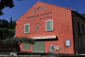 coopérative oléicole de Belgentier