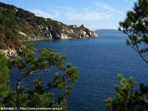 le cap blanc