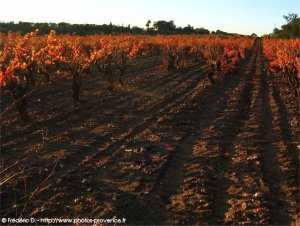 chateau de br�gan�on