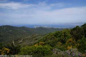 vue sur les �les des Embiez et la for�t de Six-Fours