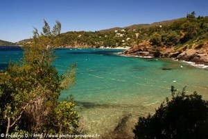 la baie du Figuier du domaine du Rayol