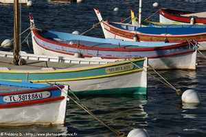 pointus dans le port du Brusc