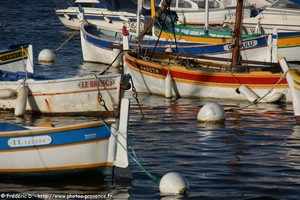 pointus de six-fours-les-plages