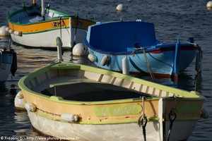 barquettes de six-fours-les-plages