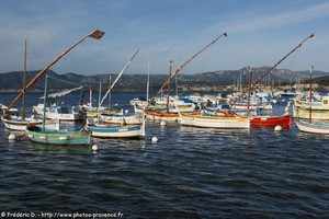 barquettes dans le port du Brusc