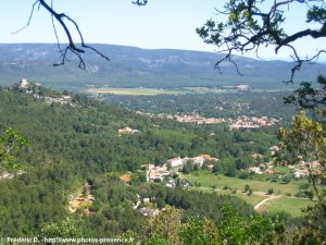 nans les pins