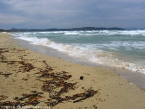 plage de Pampelonne