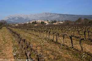 Pourrières dominé par la Sainte-Victoire