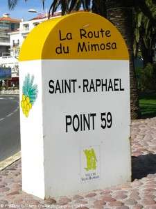 la route du mimosa