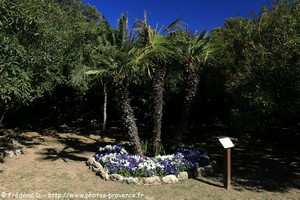 jardin botanique de Sainte-Maxime