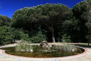 parc botanique des myrtes de Sainte-Maxime