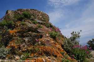 tour de gu�t au cap sici�