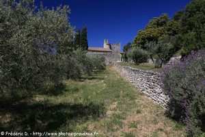 abbaye Saint-Hilaire de Ménerbes