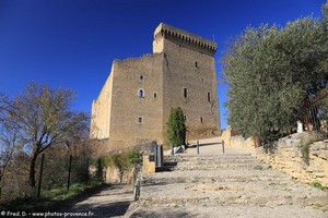 château de Châteauneuf-du-Pape
