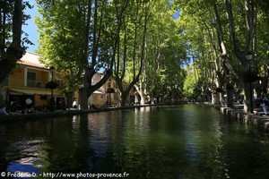 bassin de l'étang de Cucuron