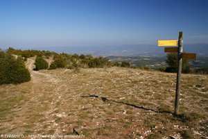 le Mourre N�gre depuis le GR de Clapar�des