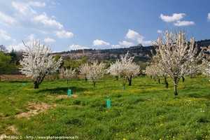 vue sur le village de saint-saturnin-les-apt