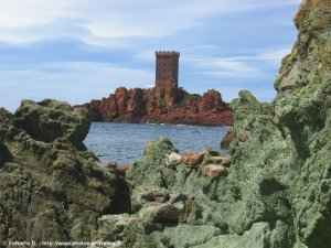 ile d'or
