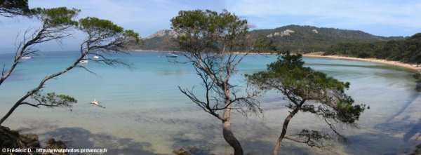 plage notre-dame de porquerolles