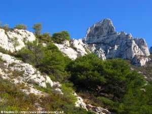 rocher des goudes