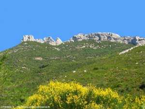 dents de roque forcade