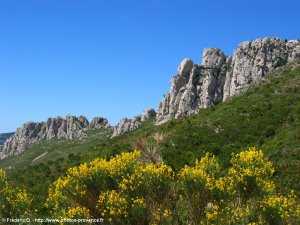 falaise de la gal�re