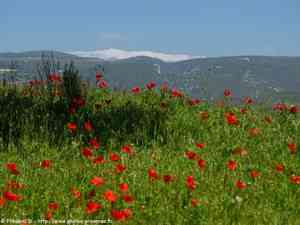 le Mont Ventoux