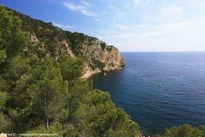 pointe Fauconni&egrave;re