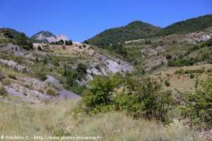 Bevons dans les Alpes-de-Haute-Provence