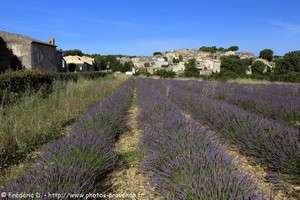 Céreste village des Alpes-de-Haute Provence