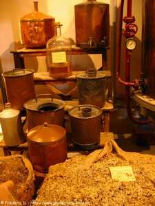 visite de la parfumerie Fragonard