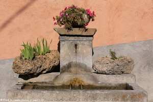 fontaine de Saint-Dalmas-le-Selvage