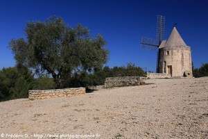 le moulin d'alphonse daudet &agrave; fontvieille