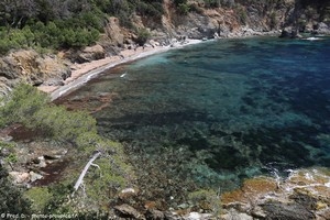 plage des Darboussières