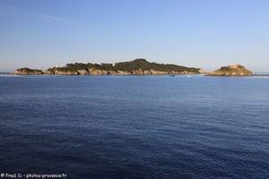 île du Petit Ribaud, île du Grand Ribaud