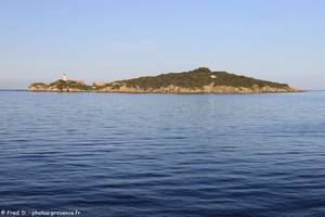 île du Grand Ribaud