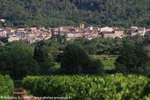 Néoules Provence Verte