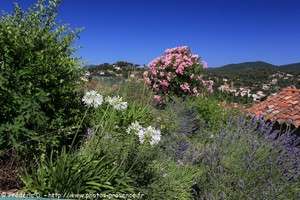 Pierrefeu du Var