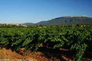 Pourrières et le mont Aurélien